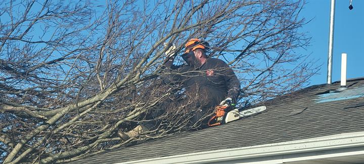 A volunteer cuts a fallen tree off a roof in Springfield, Ohio